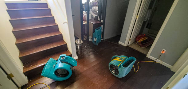 Best Fire Damage Restoration  in Chelsea, AL