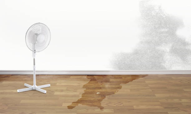 Best Residential water damage restoration  in Chelsea, AL