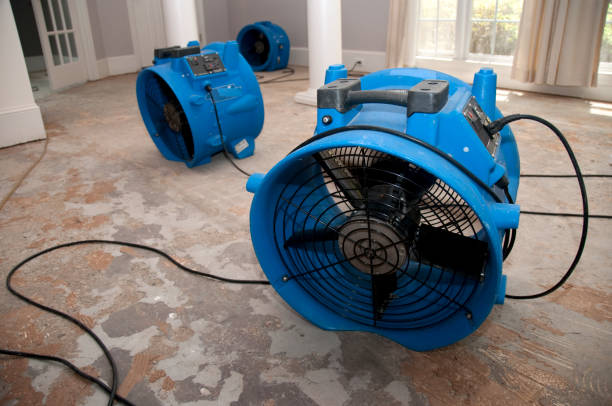 Best Mold removal after water damage  in Chelsea, AL